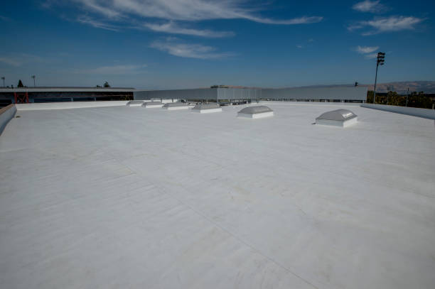 Best Roof Coating and Sealing  in Osseo, MN